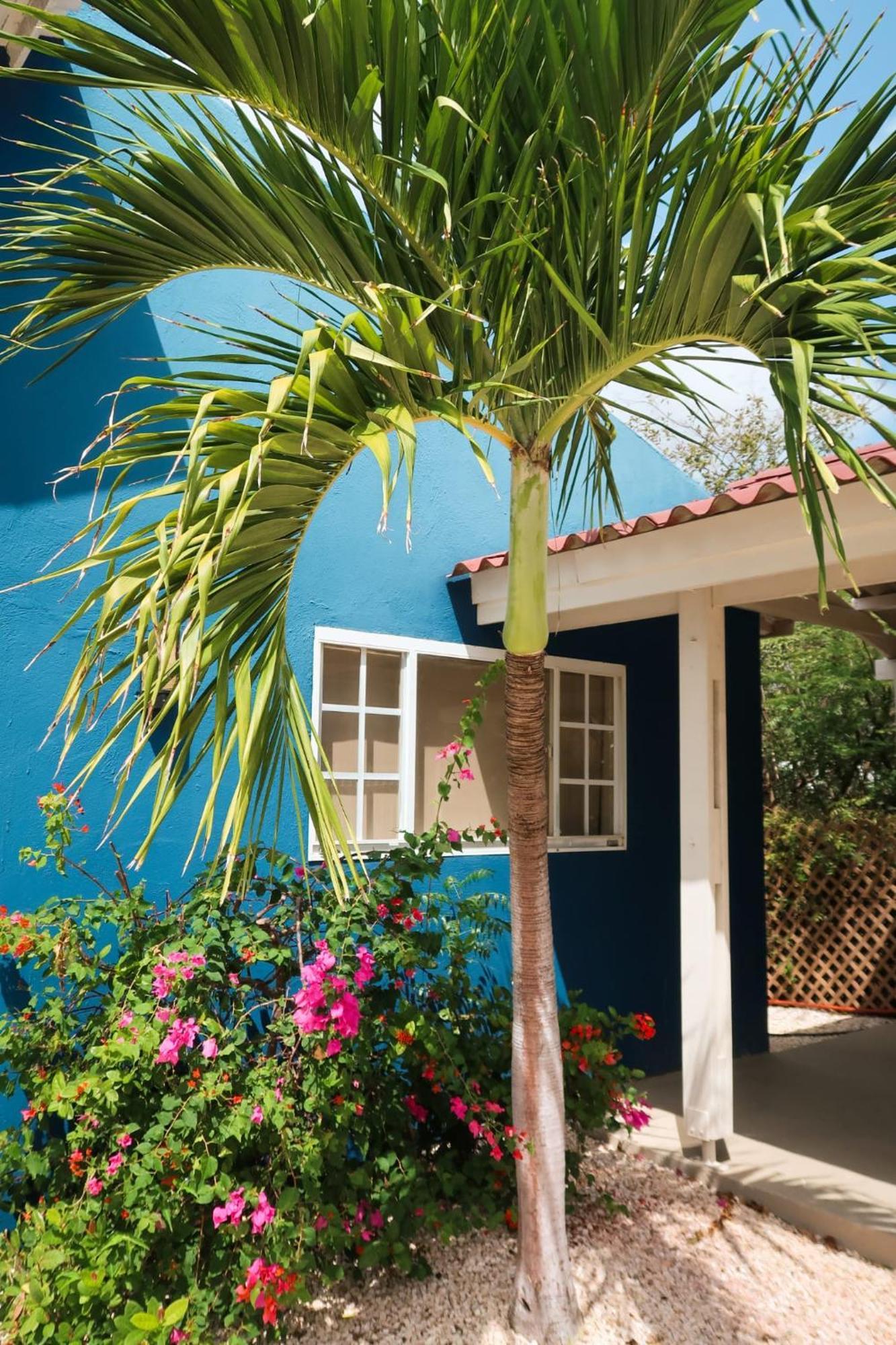 Mini Resort Kaya Verdi Willemstad Buitenkant foto